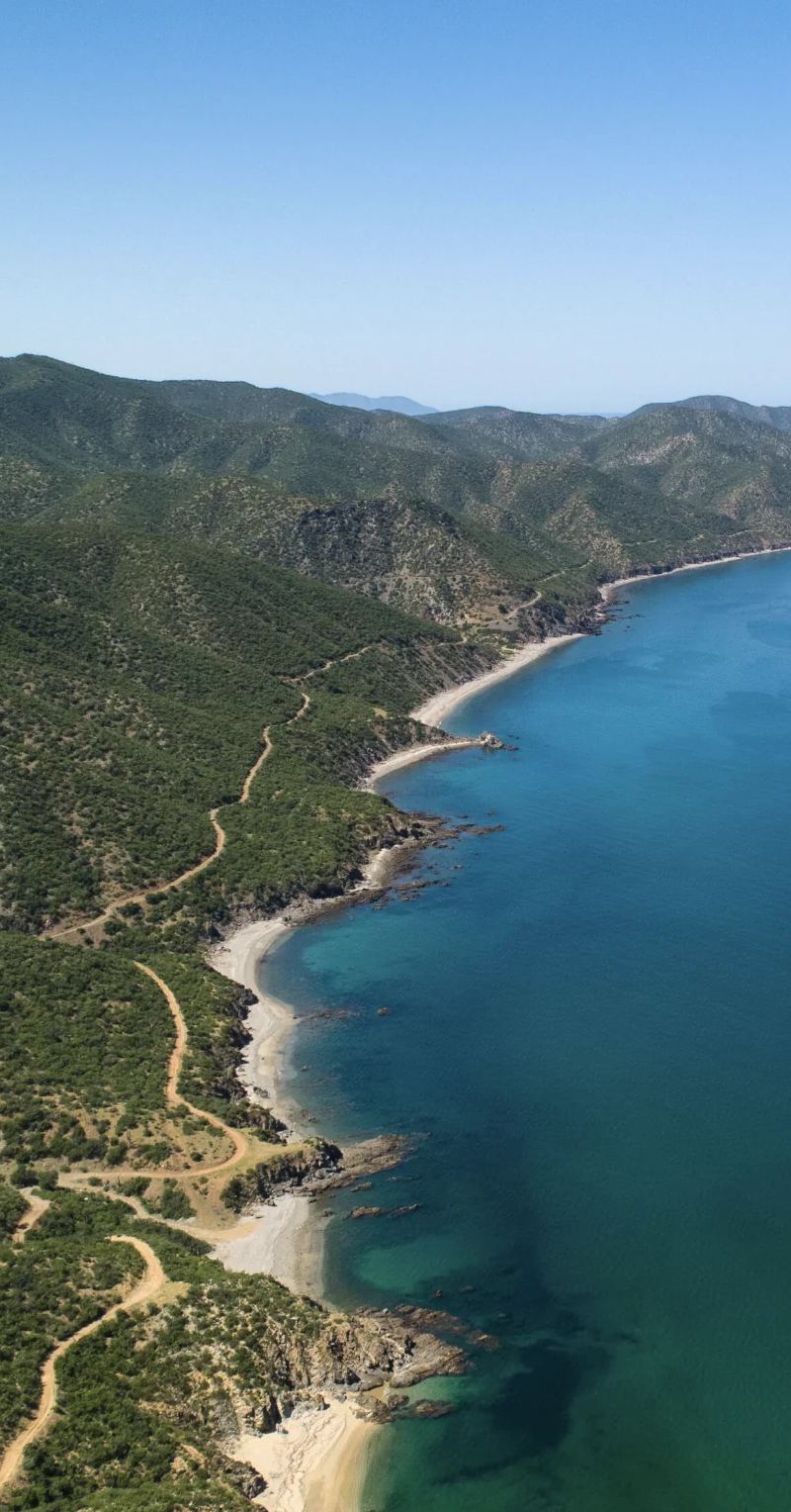 El Cardonal & Punta Pescadero