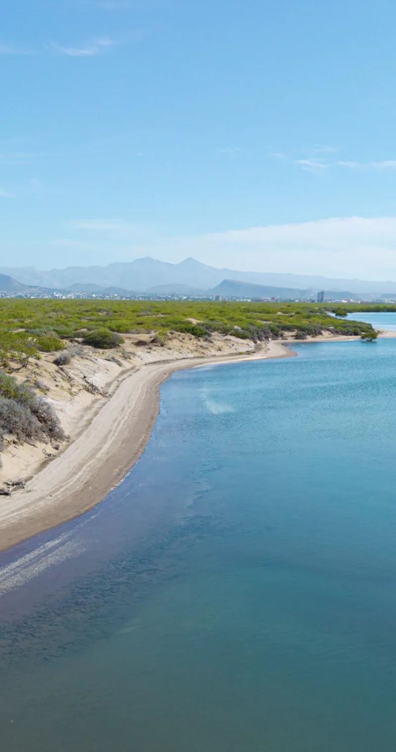 Paraíso del Mar (El Mogote)