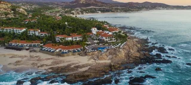 Palmilla
